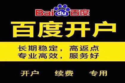 网络推广秘籍：竞价排名成功案例集锦